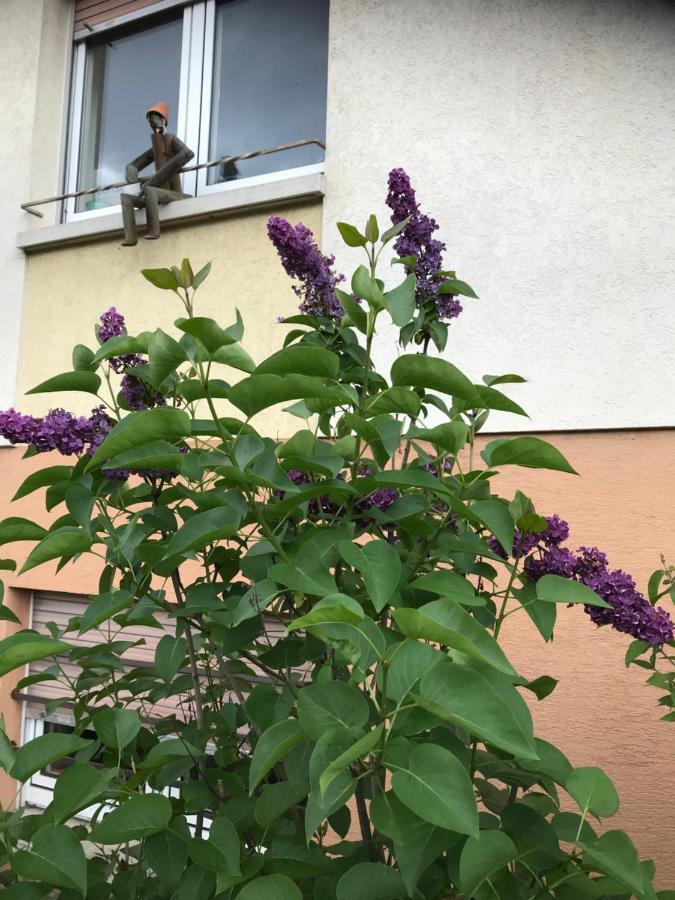 Bischwiller Appart Les Cerises Entre Strasbourg Et Haguenau מראה חיצוני תמונה